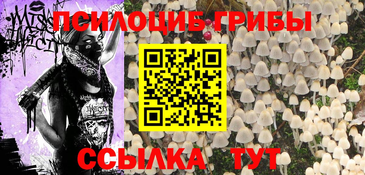 Галлюциногенные грибы Magic Shrooms  Галлюциногенные грибы Cubensis  Электрогорск  Вход с VPN 