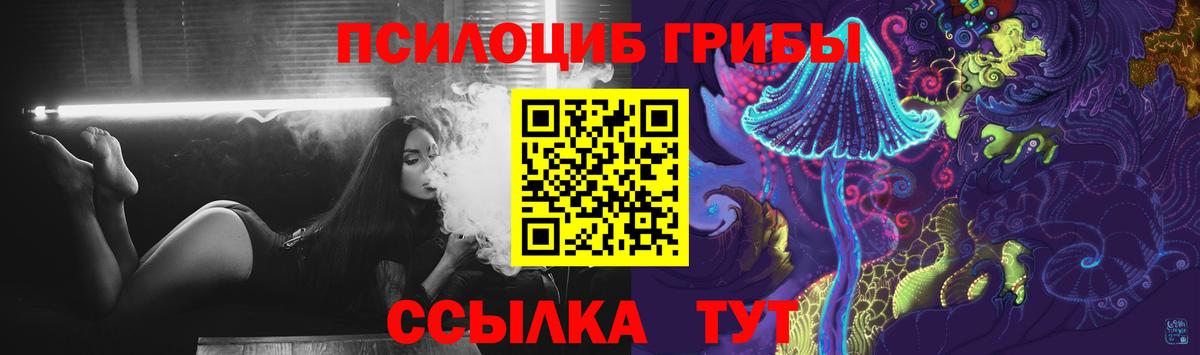 Псилоцибиновые грибы Psilocybine cubensis Электрогорск